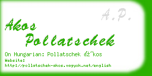 akos pollatschek business card